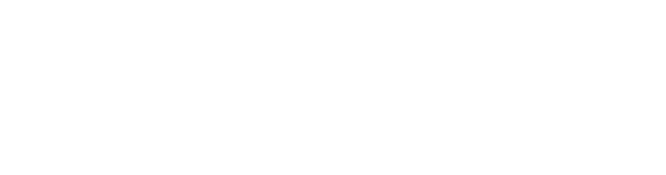 Budget WEB